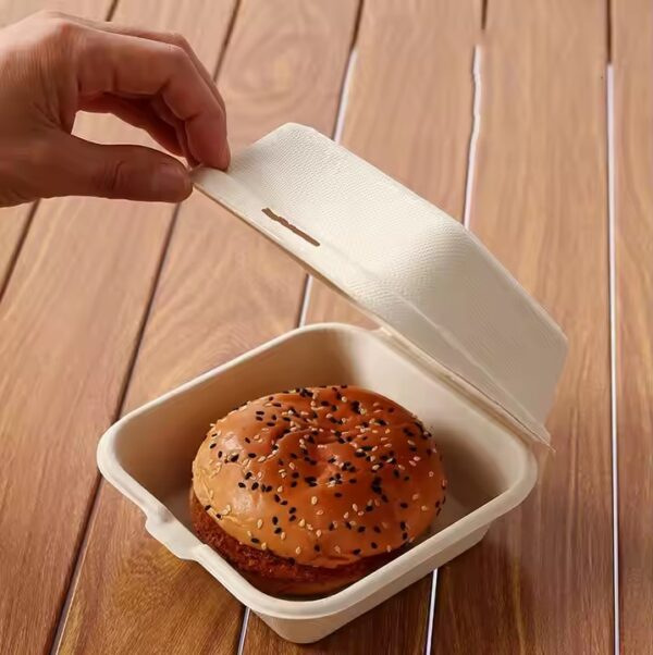 Hinged-Lid Compostable Food Containers Bagasse To Go Boxes (1 Compartment) 6" X 6" X 3" - 500/Case