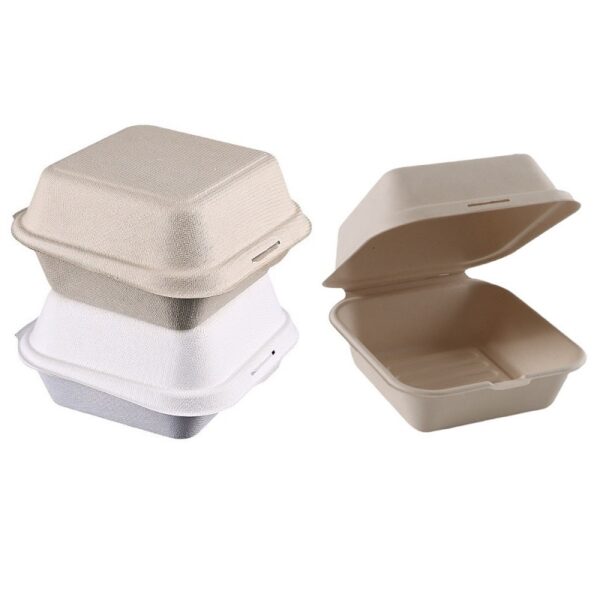 Hinged-Lid Compostable Food Containers Bagasse To Go Boxes (1 Compartment) 6" X 6" X 3" - 500/Case - Image 2