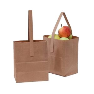 Brown Kraft Paper Produce Bag with Handle - 500/Case