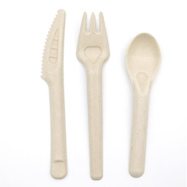 Compostable Bagasse Knife Fork Spoon - 1000/Case