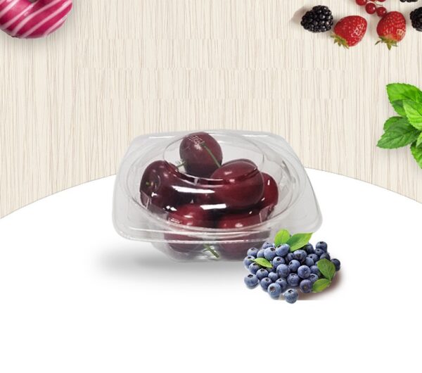 Clear PET Plastic Food Container - 1200/Case