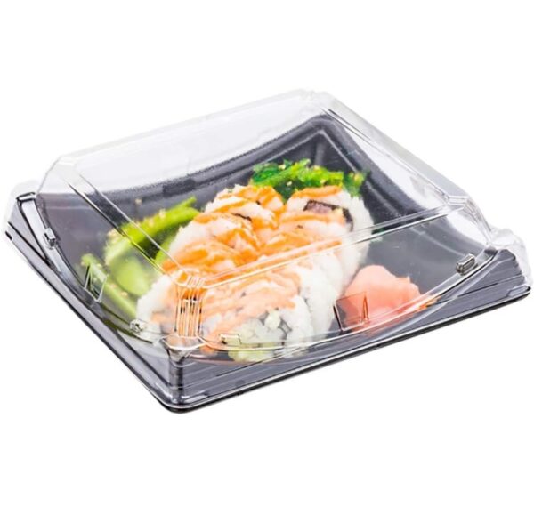 Plastic Sushi Container With Clear Lid