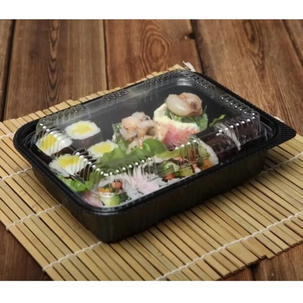 Rectangular Plastic Food Containers With Clear Lid