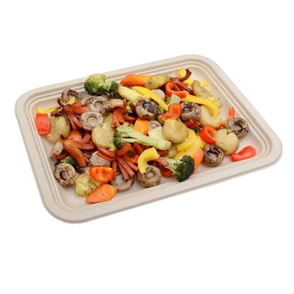14" Compostable Plant Fiber Food Trays - 400/Case - Image 2