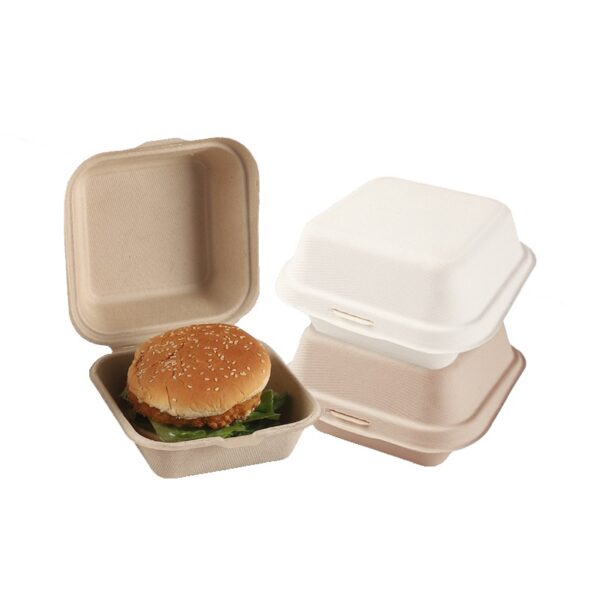 5" X 5" X 3" Hinged-Lid Compostable 1 Compartment Food Containers Bagasse Take Out Boxes - 500/Case