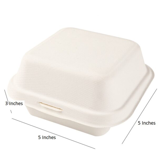 5" X 5" X 3" Hinged-Lid Compostable 1 Compartment Food Containers Bagasse Take Out Boxes - 500/Case - Image 4