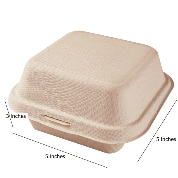 5" X 5" X 3" Hinged-Lid Compostable 1 Compartment Food Containers Bagasse Take Out Boxes - 500/Case - Image 3