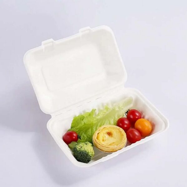 9" x 6" x 3" White Compostable Plant Fiber 2 Compartment Take-Out Containers - 200/Case