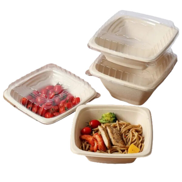 Compostable Plant Fiber Square Bowl with PET Clear Lid - 300/Case