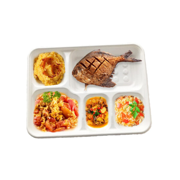 11"x8.7"x1.5" White Compostable Plant Fiber Deep 5 Compartment Lunch Tray with Lid - 200/Case - Image 4