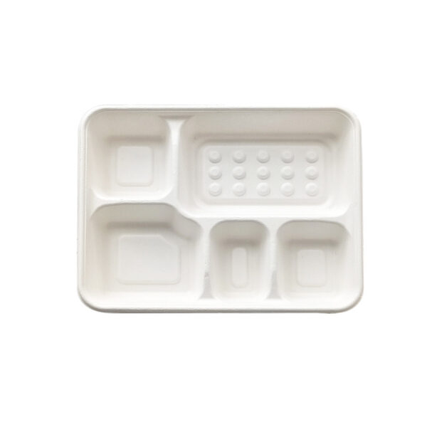 11"x8.7"x1.5" White Compostable Plant Fiber Deep 5 Compartment Lunch Tray with Lid - 200/Case - Image 3